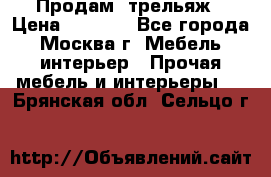 Продам  трельяж › Цена ­ 3 000 - Все города, Москва г. Мебель, интерьер » Прочая мебель и интерьеры   . Брянская обл.,Сельцо г.